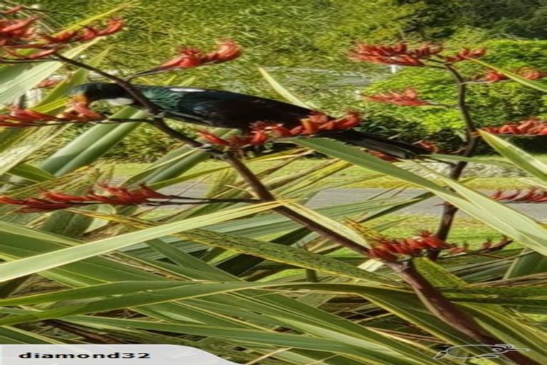 Photo of property in 44 Tamatea Street, Rotoiti Forest, Rotorua, 3074