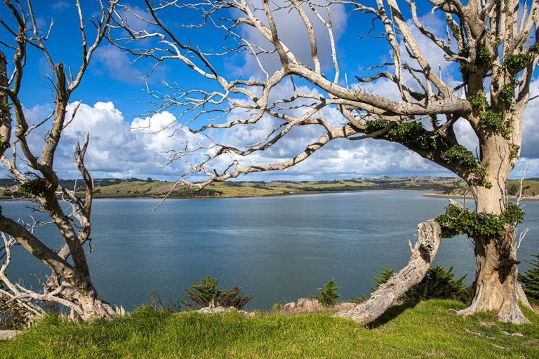 Photo of property in 164 Beatson Road, Whakapirau, 0583