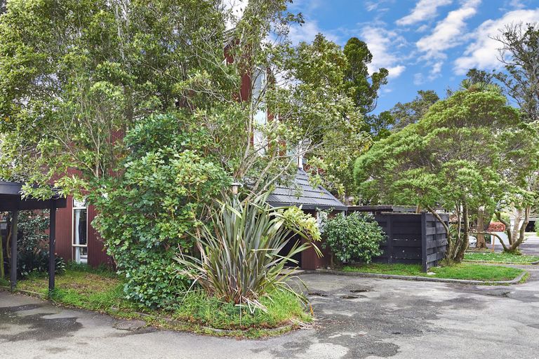 Photo of property in 4/341 College Street, West End, Palmerston North, 4410