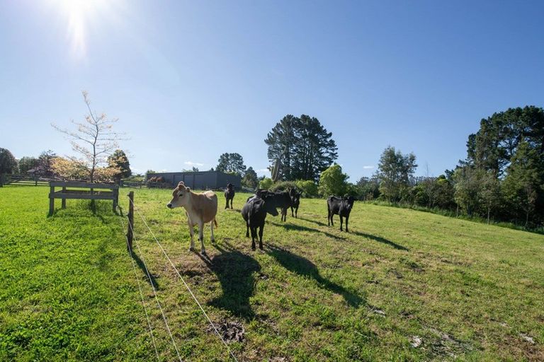 Photo of property in 350a Dalbeth Road, Hamurana, Rotorua, 3072