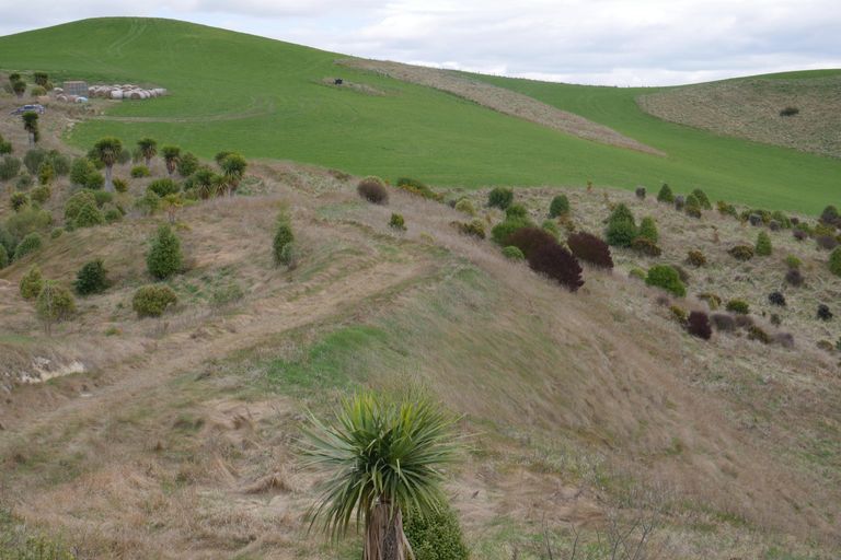 Photo of property in 360 Thorburn Road, Waikouaiti, 9472