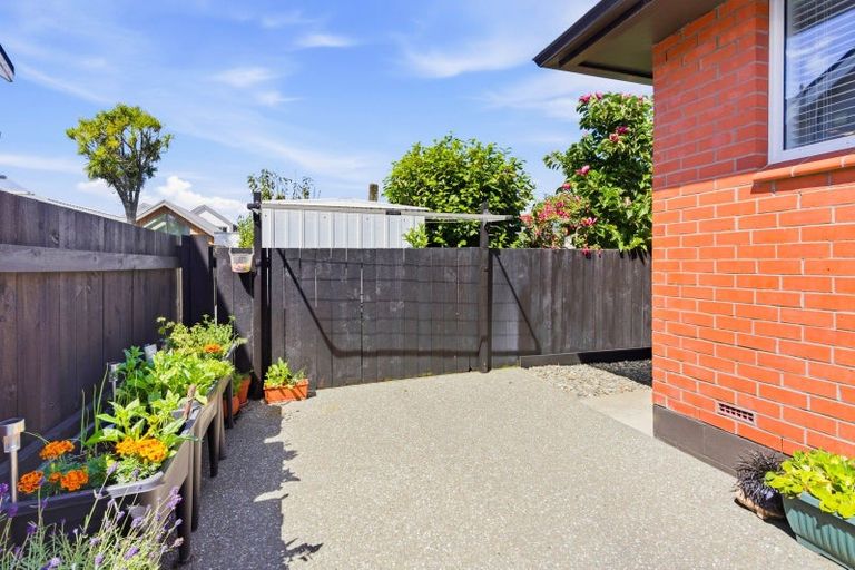 Photo of property in 20 Albert Street, Saint Clair, Dunedin, 9012