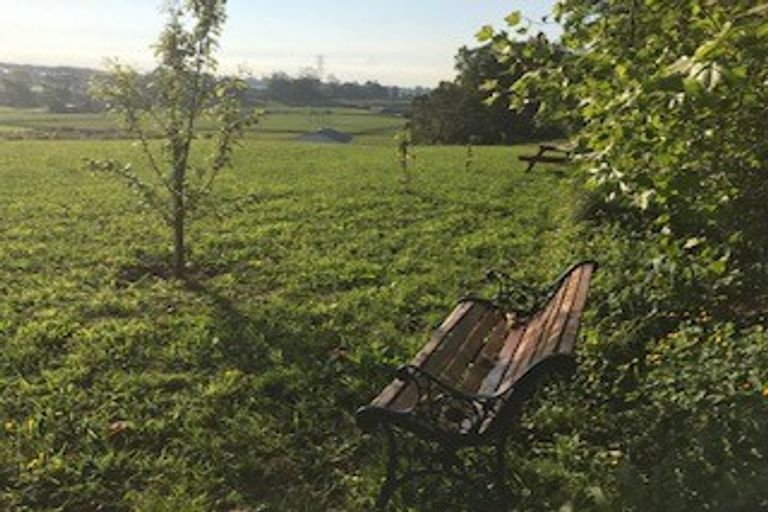 Photo of property in 30 Riverside Lane, Karapiro, Cambridge, 3494