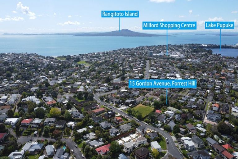 Photo of property in 15 Gordon Avenue, Forrest Hill, Auckland, 0620