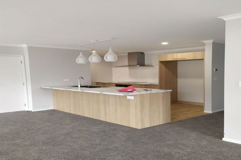 Photo of property in 130 Harriet Johnston Drive, Pokeno, 2402