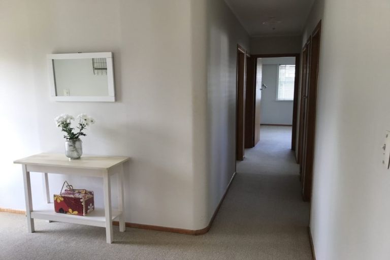 Photo of property in 3 Walker Terrace, Dinsdale, Hamilton, 3204