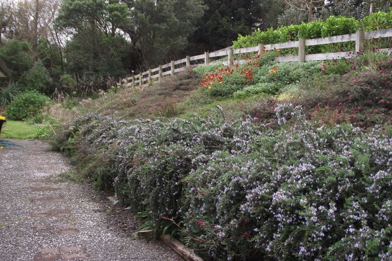 Photo of property in 6 Colebrook Road, Waihi, 3610