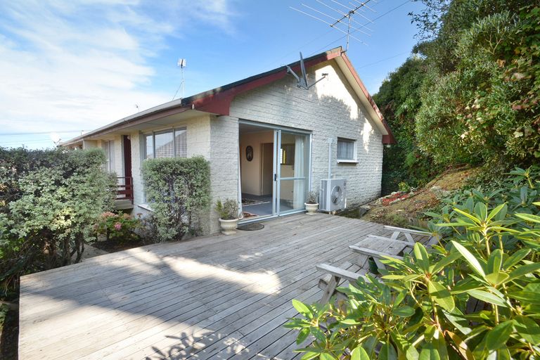 Photo of property in 24b Carnarvon Street, Belleknowes, Dunedin, 9011