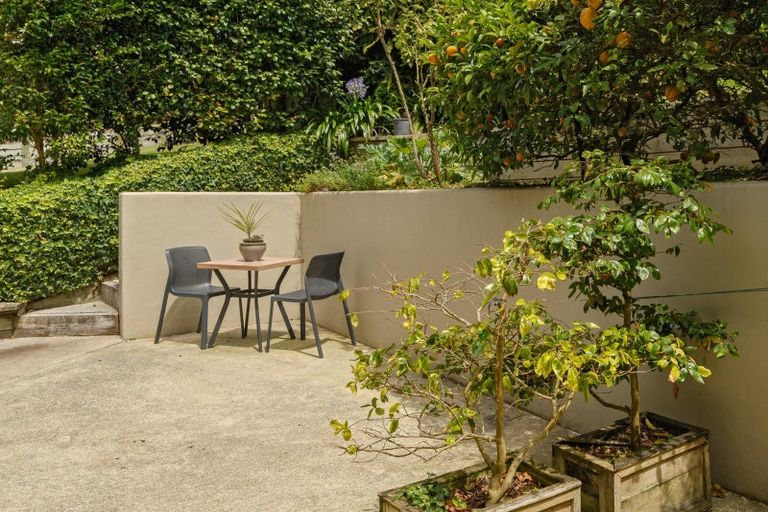 Photo of property in 3 Grace Road, Tauranga South, Tauranga, 3112