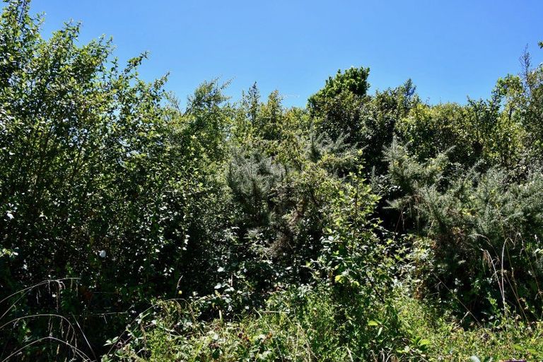 Photo of property in 9 Nikau Heights, Little Wanganui, Karamea, 7893