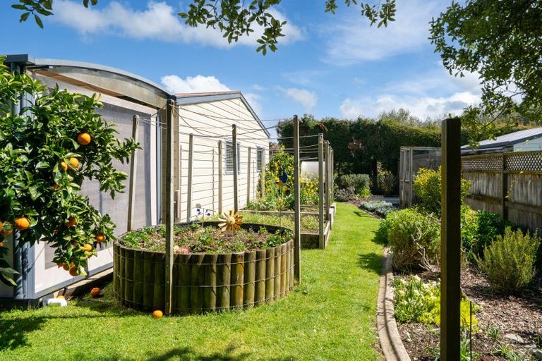 Photo of property in 49 Cowley Drive, Leamington, Cambridge, 3432