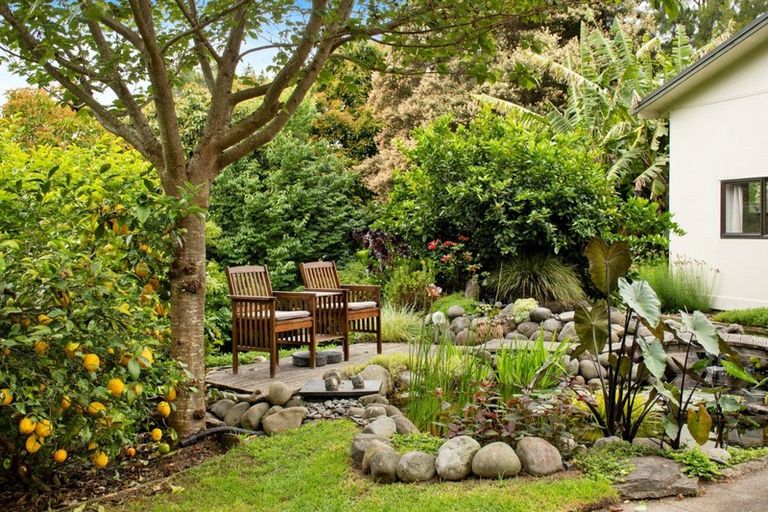 Photo of property in 24 Bellfield Place, Bethlehem, Tauranga, 3110