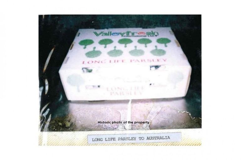 Photo of property in 378 Pakaru Road, Kawakawa, 0282