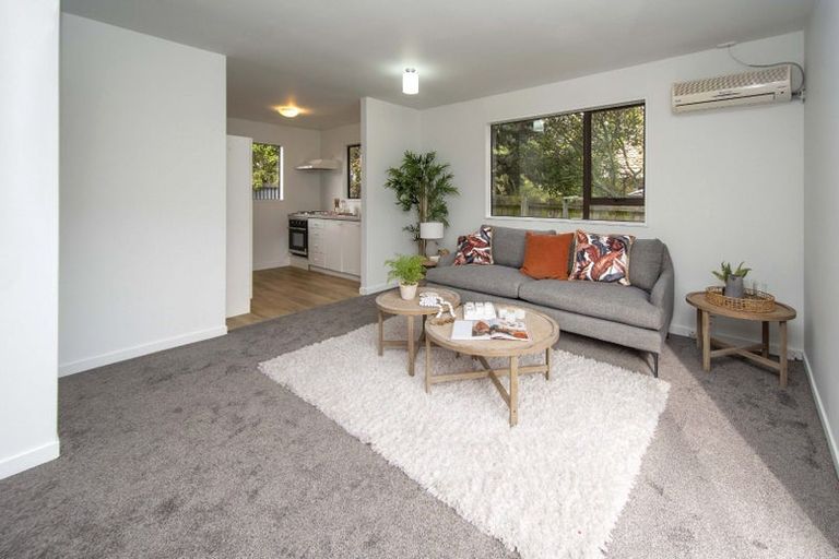 Photo of property in 4/116 Bordesley Street, Phillipstown, Christchurch, 8011