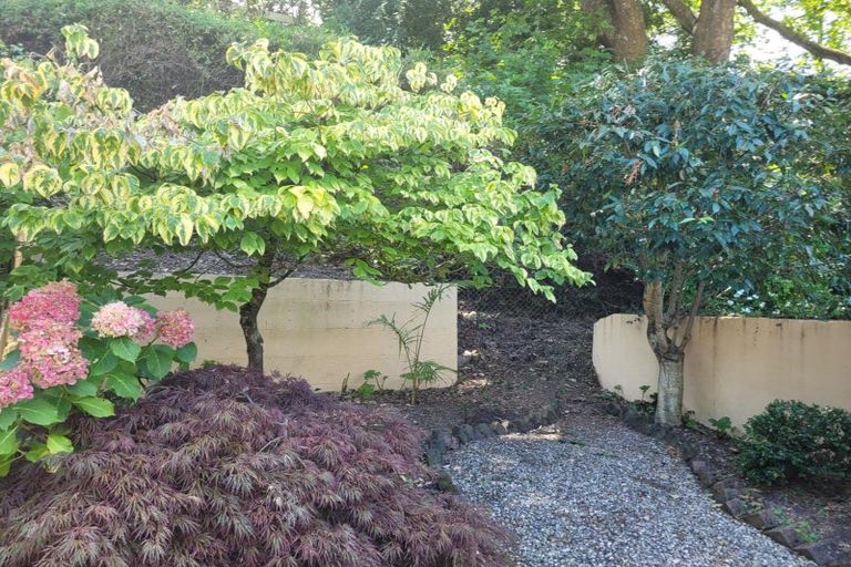 Photo of property in Waterford Estate, 14/102 Grantham Street, Hamilton Central, Hamilton, 3204