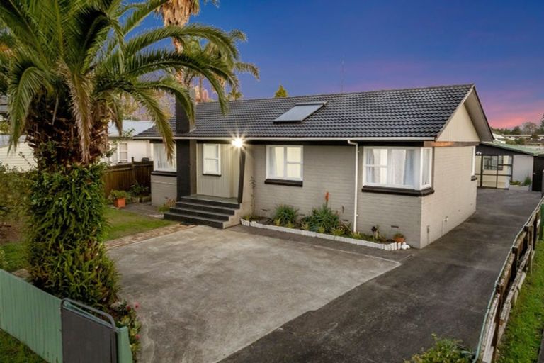 Photo of property in 38 Pinedale Place, Henderson, Auckland, 0610
