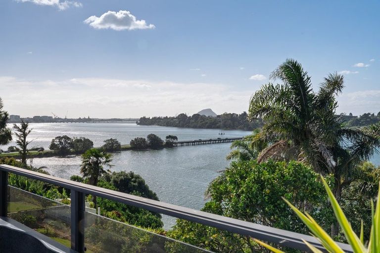 Photo of property in 91 Te Hono Street, Maungatapu, Tauranga, 3112