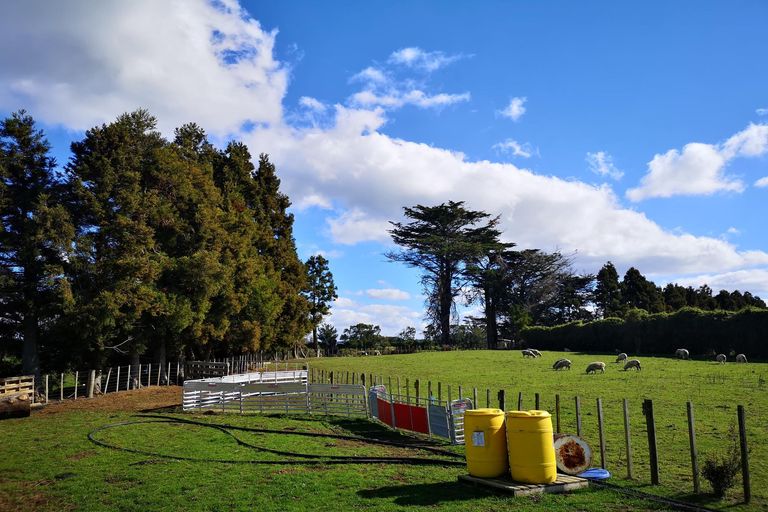 Photo of property in 206 Melville Road, Kaponga, Hawera, 4679