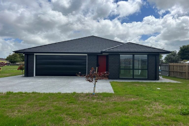 Photo of property in 10 Sanson Place, Levin, 5510