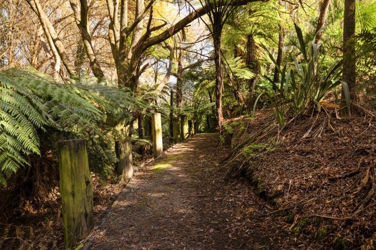 Photo of property in 37 Silkwood Way, Tauriko, Tauranga, 3110