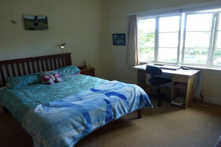 Photo of property in 11 Chapple Street, Alexandra, 9320