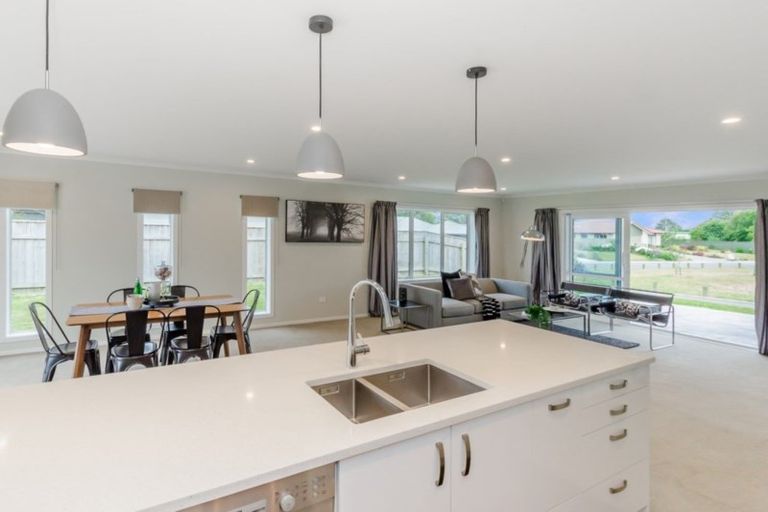 Photo of property in 12 Gardner Place, Otaki, 5512