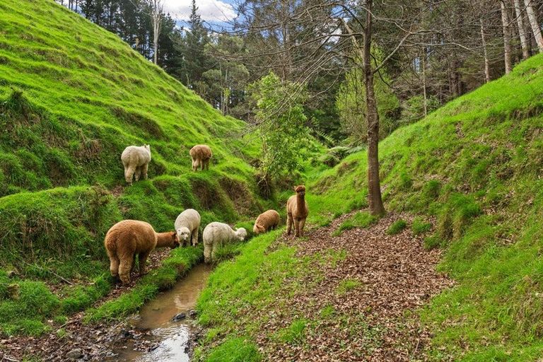 Photo of property in 105 Waterfall Road, Paraparaumu, 5032