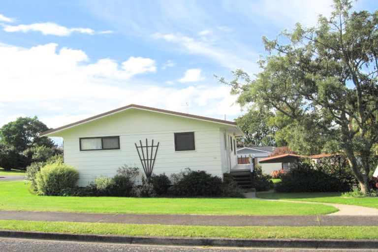 Photo of property in 19 Hillcrest Street, Tirau, 3410