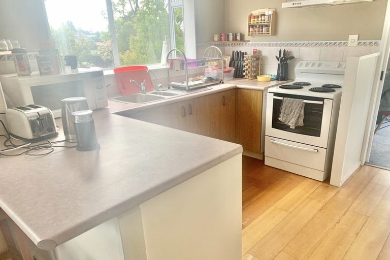 Photo of property in 58 Vintage Drive, Henderson, Auckland, 0612