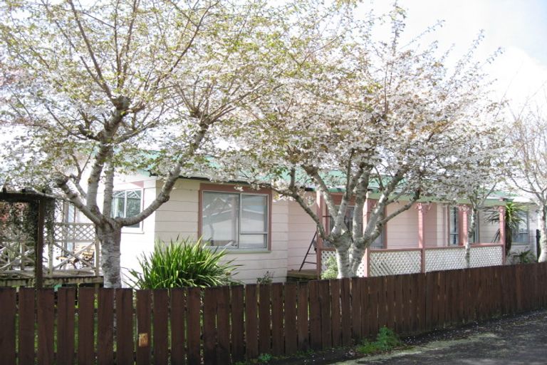 Photo of property in 8 Tainui Terrace, Inglewood, 4330