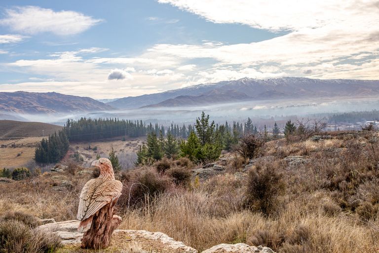 Photo of property in 29 Old Golf Course Road, Bridge Hill, Alexandra, 9320