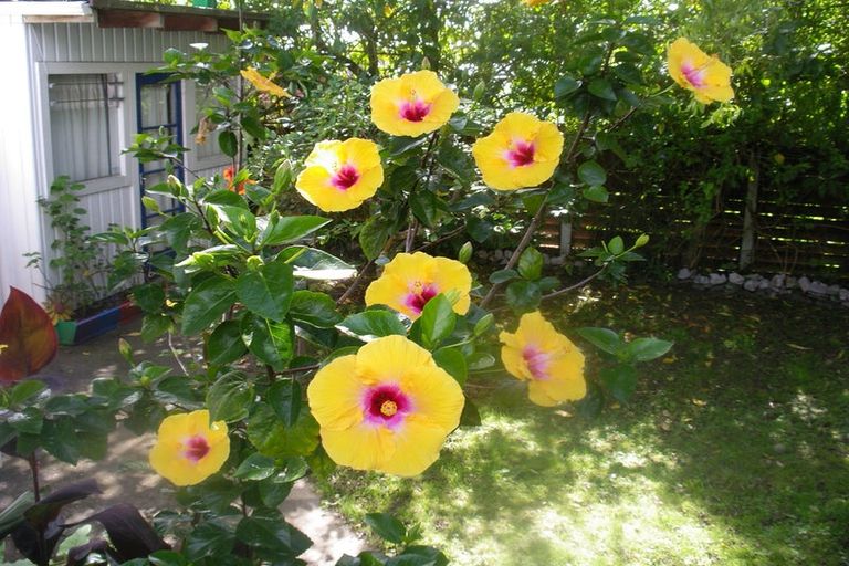 Photo of property in 11 Challinor Street, Pakuranga, Auckland, 2010