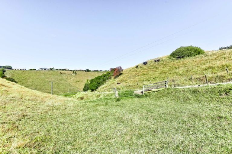 Photo of property in 47 Ngatarua Road, Putiki, Whanganui, 4500