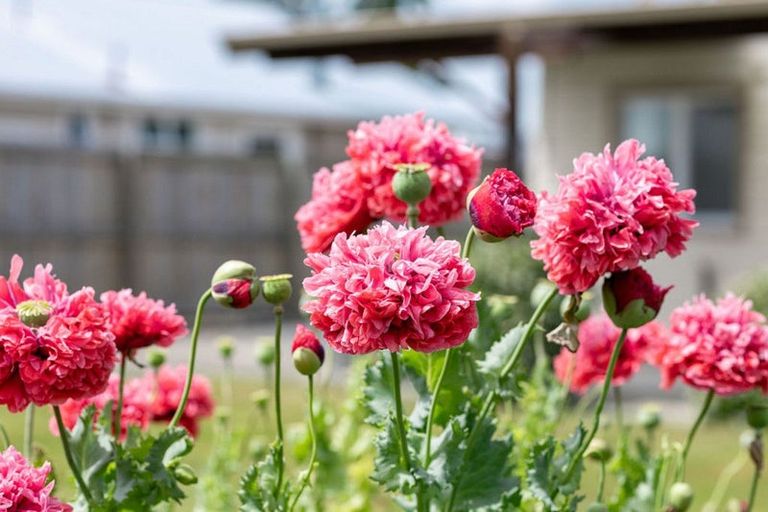 Photo of property in 10 Lampard Street, Methven, 7730