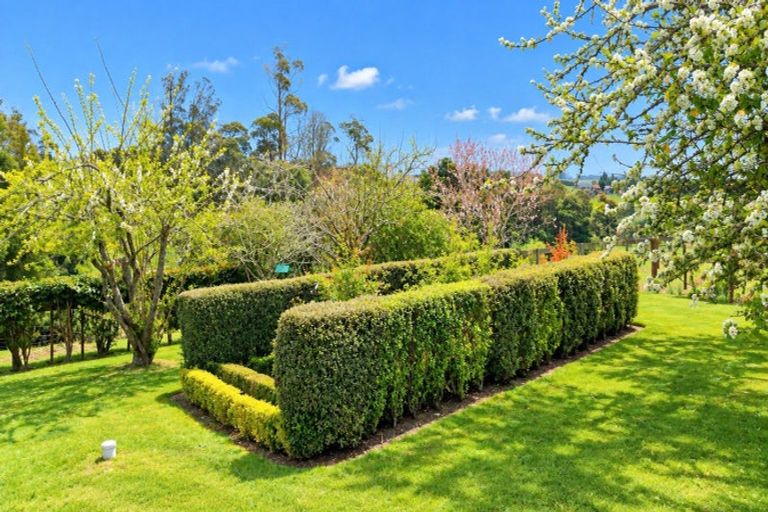 Photo of property in 17 Orchard Road, Te Kauwhata, 3782