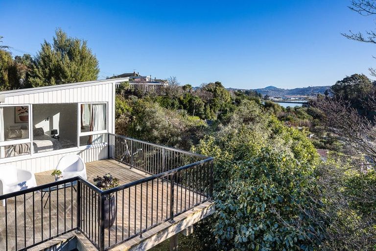 Photo of property in 4 Heath Street, Andersons Bay, Dunedin, 9013