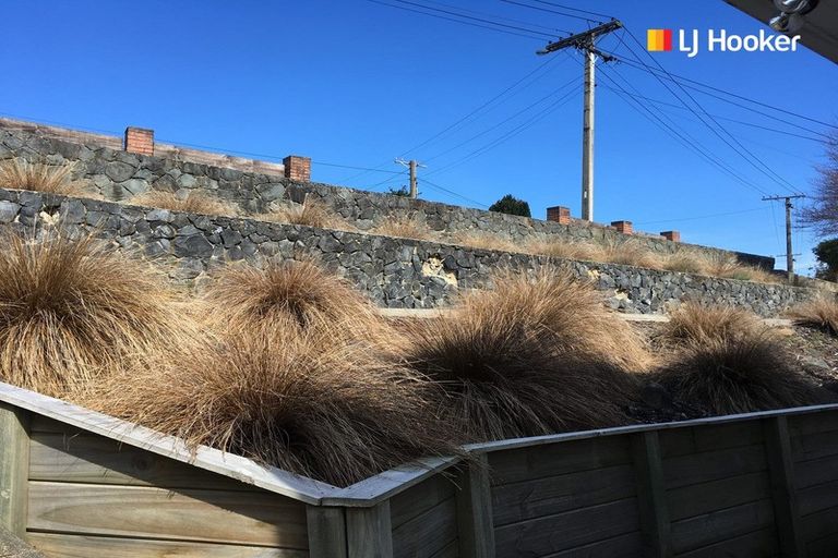 Photo of property in 33 Strathearn Avenue, Wakari, Dunedin, 9010