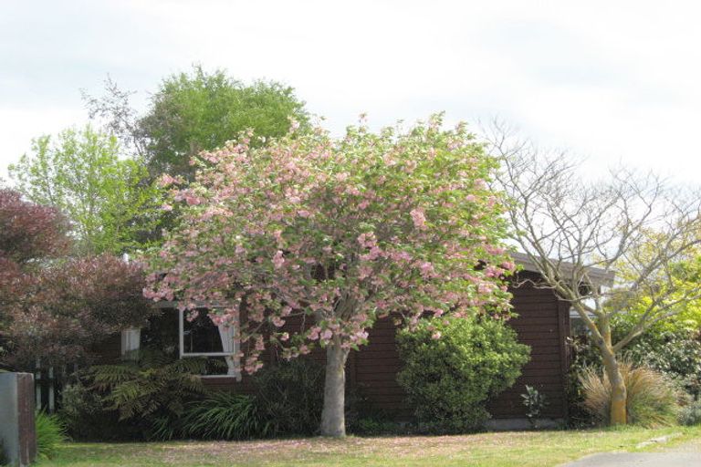 Photo of property in 6 Simon Place, Woodend, 7610