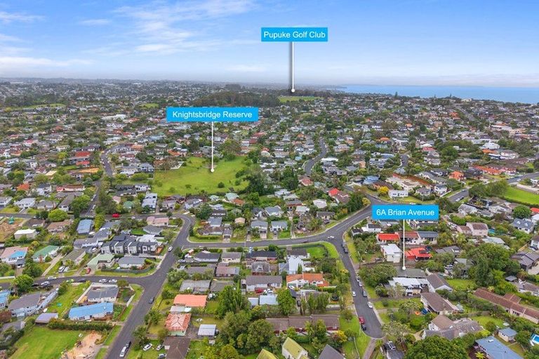Photo of property in 6a Brian Avenue, Forrest Hill, Auckland, 0620