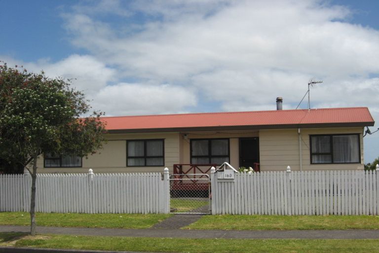 Photo of property in 163 Finlayson Avenue, Clendon Park, Auckland, 2103