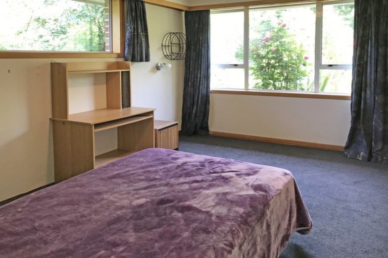 Photo of property in 464 Owaka Valley Road, Owaka, 9586