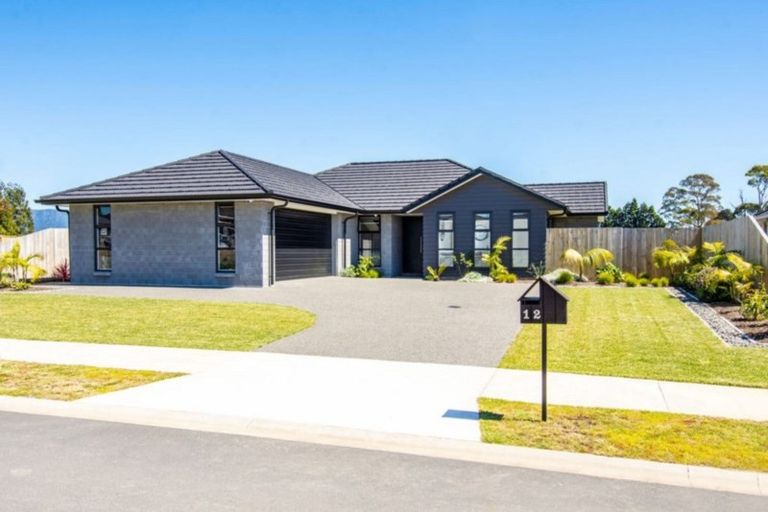 Photo of property in 12 Charlotte Drive, Omokoroa, 3114