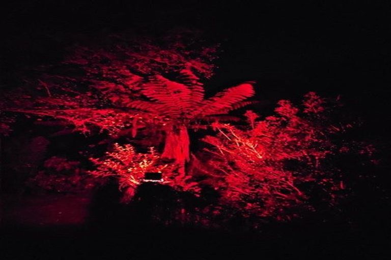 Photo of property in 8 Saint Annes Square, Tawa, Wellington, 5028