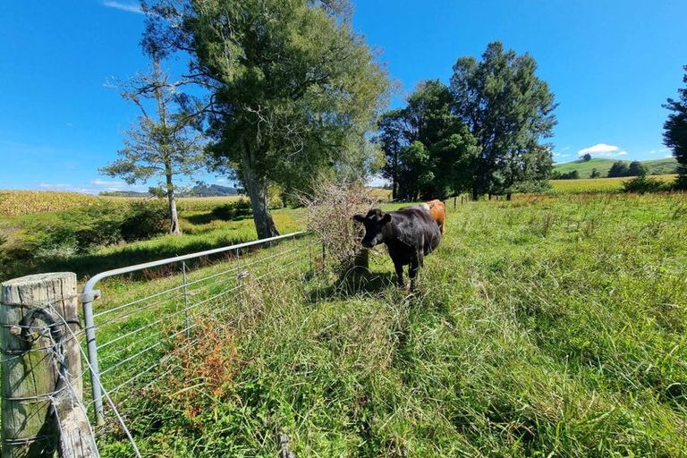 Photo of property in 584b State Highway 3, Waitomo, Te Kuiti, 3977