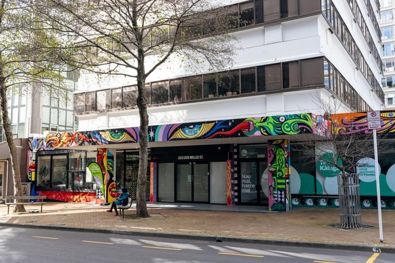 Photo of property in Te Kainga Te Aka, 203 Willis Street, Te Aro, Wellington, 6011