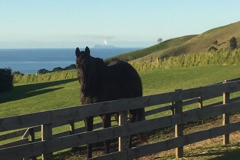 Photo of property in 109 Mimiha Ridge Road, Matata, Whakatane, 3194