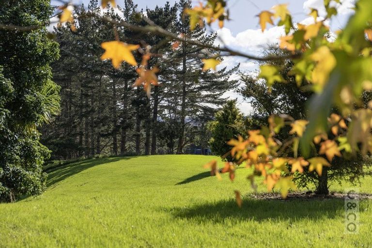 Photo of property in 408 Taupaki Road, Kumeu, 0892