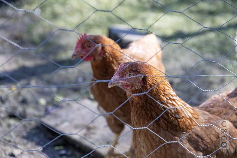 Photo of property in 2 Applemoors Way, Riverhead, 0820