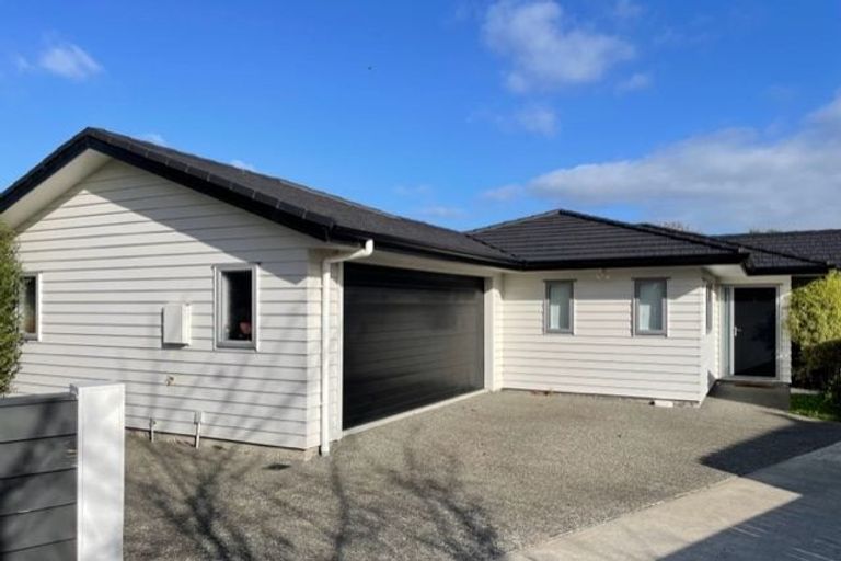 Photo of property in 14b Leicester Street, Terrace End, Palmerston North, 4410