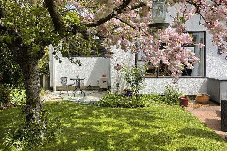 Photo of property in 61 Koha Road, Taupo, 3330